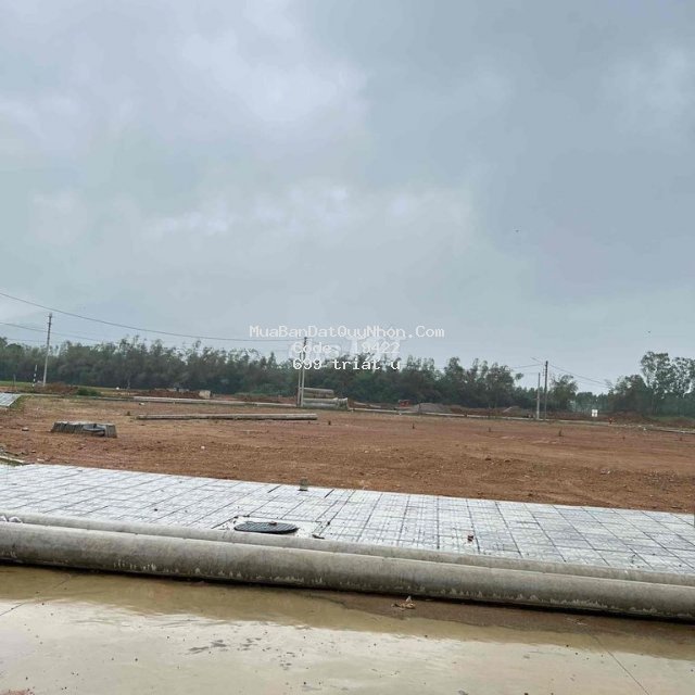 Bán lô đất siêu đẹp ở cát khánh giá rẻ làm việc cc