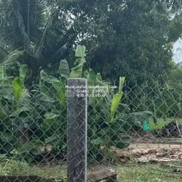 Bán lô đất toàn bộ thổ cư cát trinh giá 495 triệu