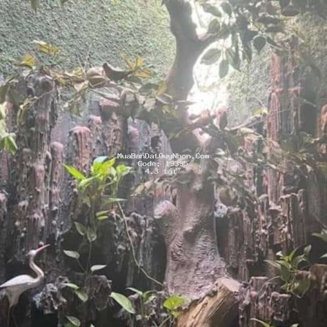 Bán nhà 3 tầng mặt tiền khu hoàng anh gia lai