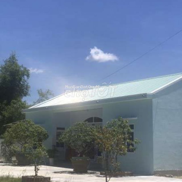 Bán nhà xưởng mỹ tài, phù mỹ 5000m2