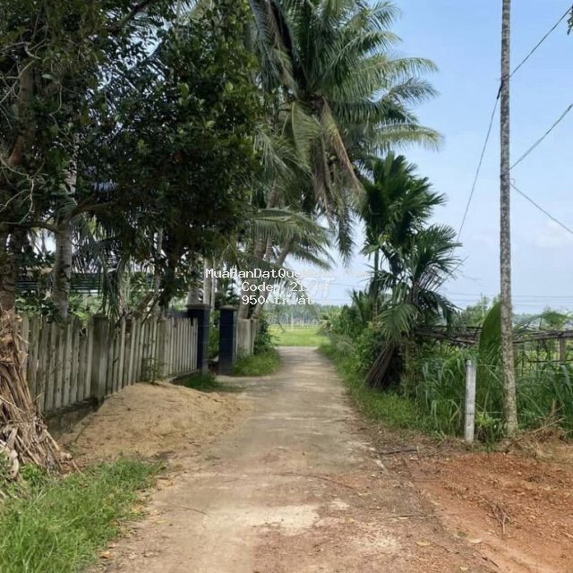 Bán nhanh cho con đi học 511m2 giá chỉ 950tr