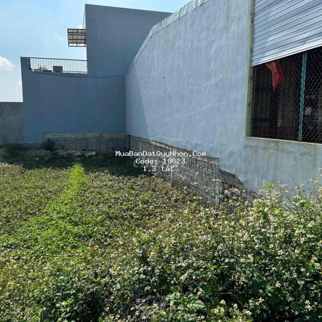 Cần bán gấp