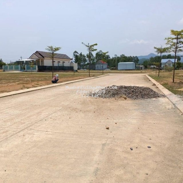 Cần bán gấp nhiều lô đất ở phù cát- tỉnh bình định