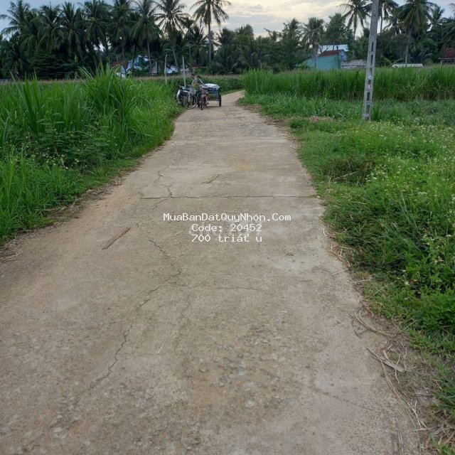 Cần bán lô đất nông nghiệp 1400m2 giá rẻ phường hoài xuân hoài nhơn