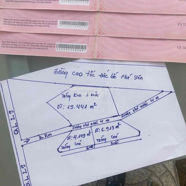 Cần bán lỗ lô đất phú yên keo tràm trồng hơn 3 nam
