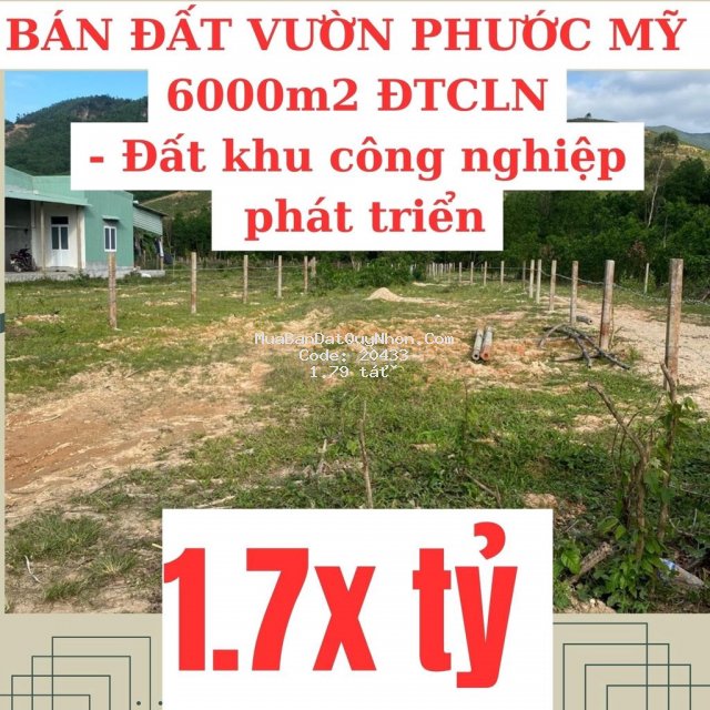 Cần bán nhanh lô đất phước mỹ,khu quy hoạch công nghiệp,giá cạnh tranh