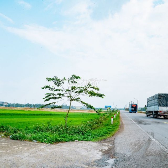 Cắt lỗ đất mặt tiền quốc lộ 1a gần cảng tam quan bình định