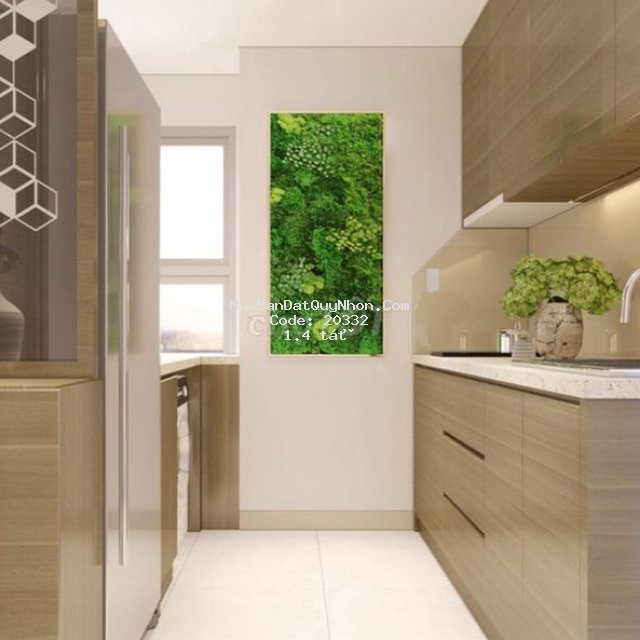 Ch quy nhơn melody mt nguyễn trung tín sát anya hotel giá 1,4tỷ/50.6m2