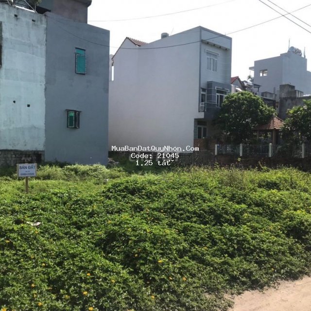 Chính chủ bán đất odt sổ hồng riêng mt trung tâm thị trấn diêu trì