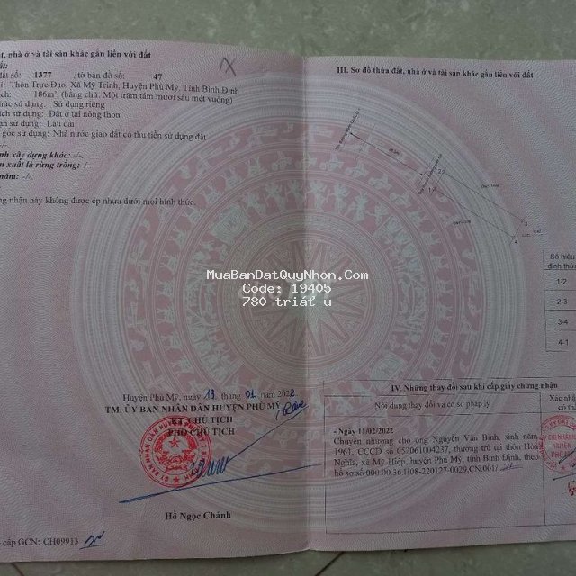 Chính chủ bán đất thổ cư thị trấn phù mỹ