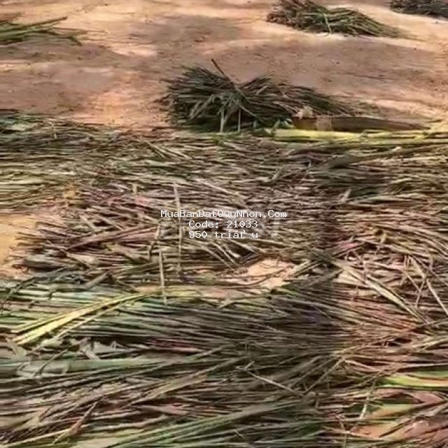 Chính chủ cần bán lô đất p. hoài hảo