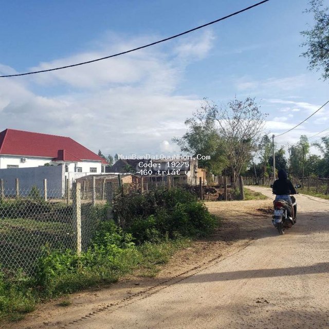 đất 210m2 ngang 15m cát trinh, phù cát, bình định
