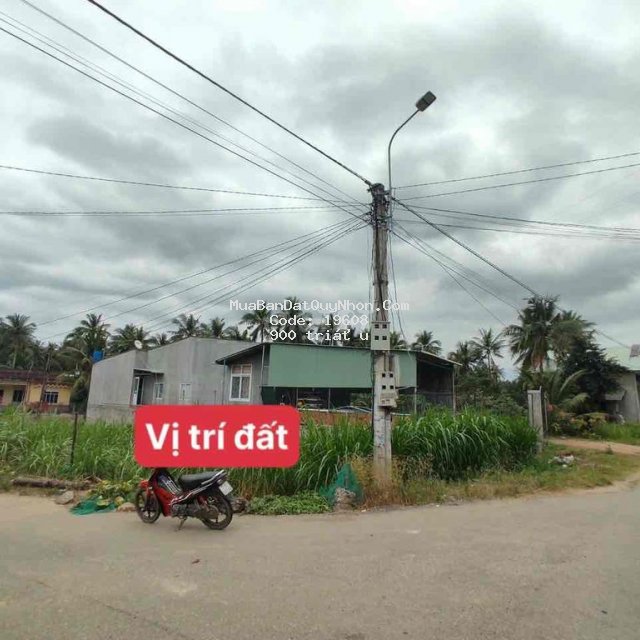 đất mặt tiền lại khánh dt630 hoài đức 6x30m ngộp đất mặt tiền lại khánh dt630 hoài đức 6x30m ngộp