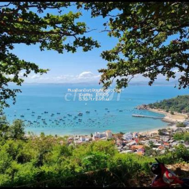 đất nền cù lao xanh quy nhơn 213m2 giá rẻ