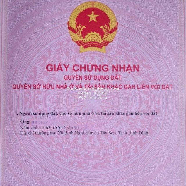 đất thổ cư 5×30 fun giấy tờ .tây sơn bình định