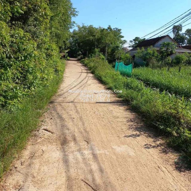 đất thổ cư cách ql 300m
