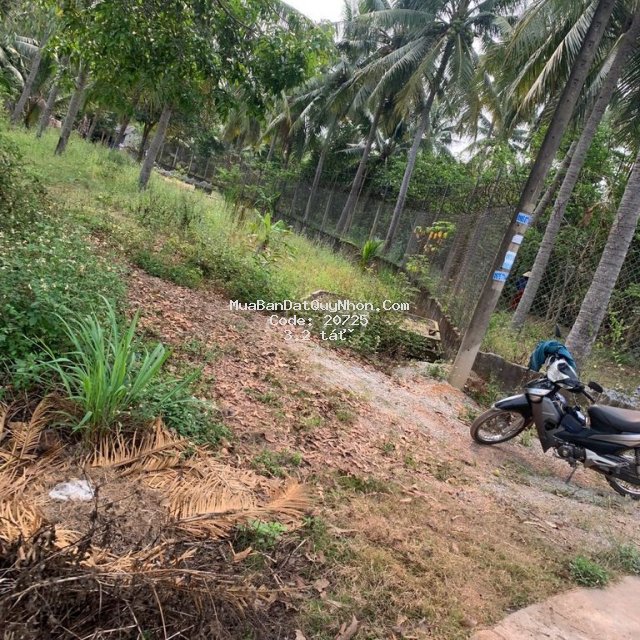 đất vườn, 3142 mét phường hoài thanh, thị xã hoài nhơn, bình định