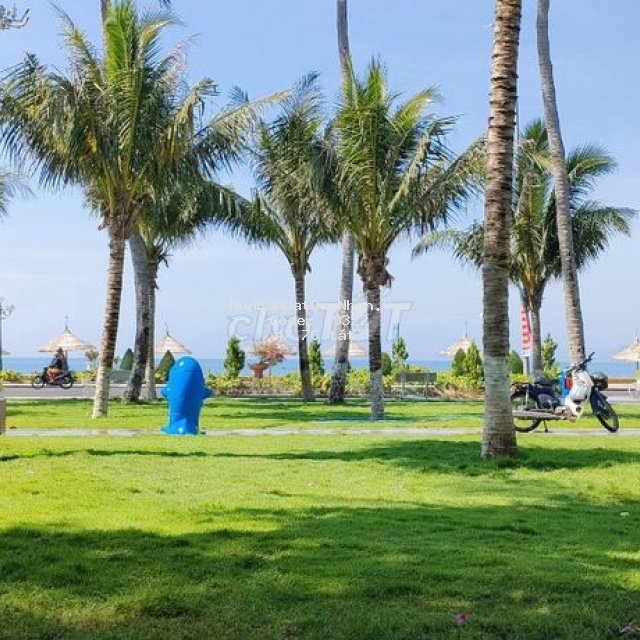 [ lô trực diện biển tttp quy nhơn - p trần phú ]