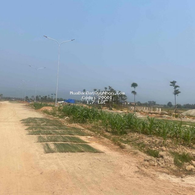 Mua đất ngay trường mẫu giáo chuẩn quốc tế giá chỉ 890tr/lô