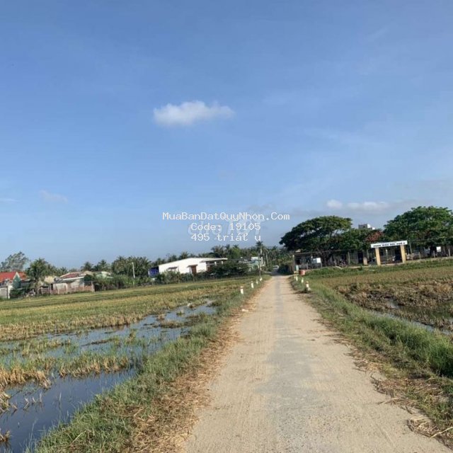 Nền thổ cư 200m2 gần cảng gề gi