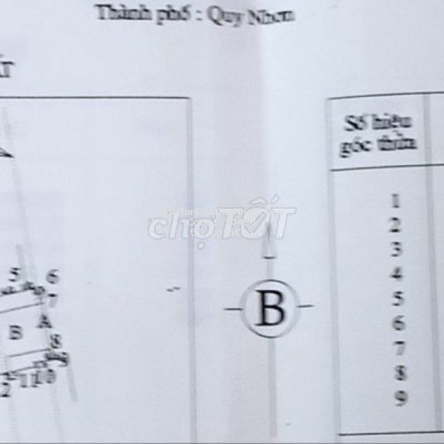 Nhà mặt tiền, 103m2 tiện kinh doanh  - p. trần quang diệu, tp.qui nhơn