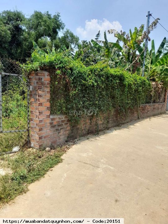 Nhà nhỏ hẻm xe hơi ôtô vi vu