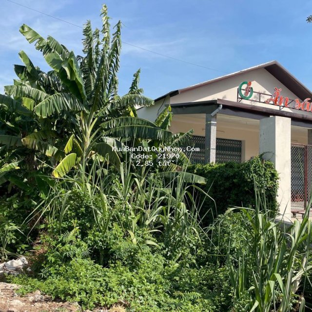 Bán 88m2 đất mặt tiền ql19 giá rẻ