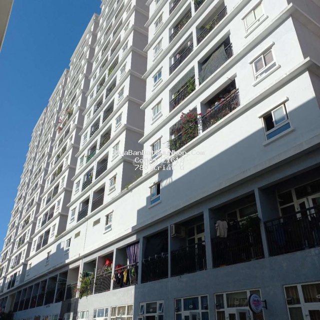 Bán chung cư xuân thủy, phường quang trung, quy nhơn, giá rẻ