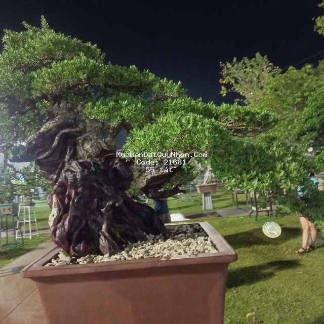 Bán khách sạn trung tâm tp quy nhơn, bình định