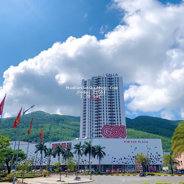 Bán lại căn hộ chung cư the calla quy nhơn
