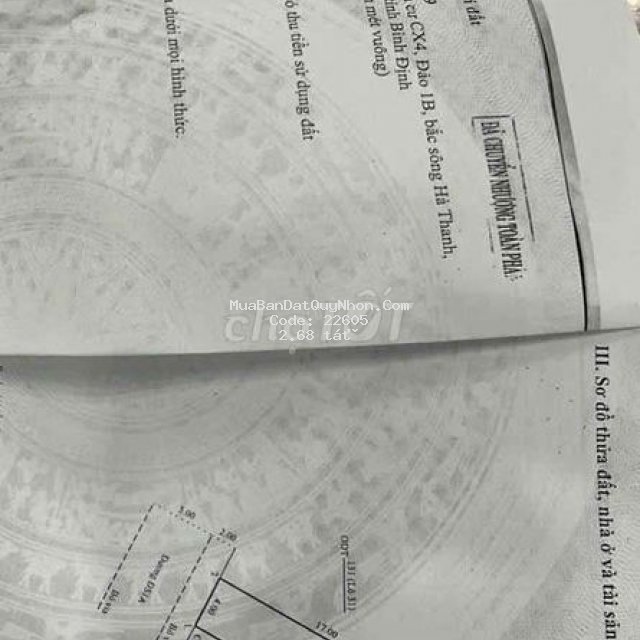 Bán lô đất đường số 1a đảo 1b, đường song song với lê thanh nghị
