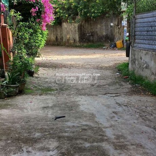 Bán nhà tp quy nhơn