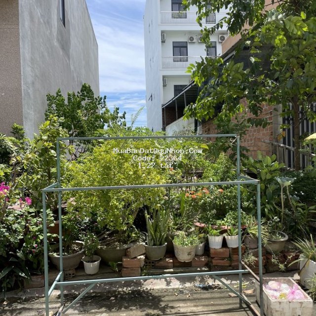 Cần bán gấp