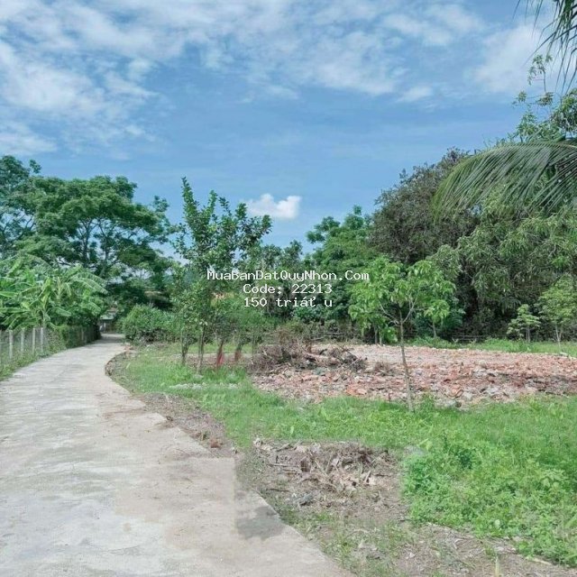 Cần bán lô đất để trả nợ ngân hàng