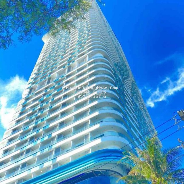 Cần bán nhanh tms chính chủ tầng cao view đẹp