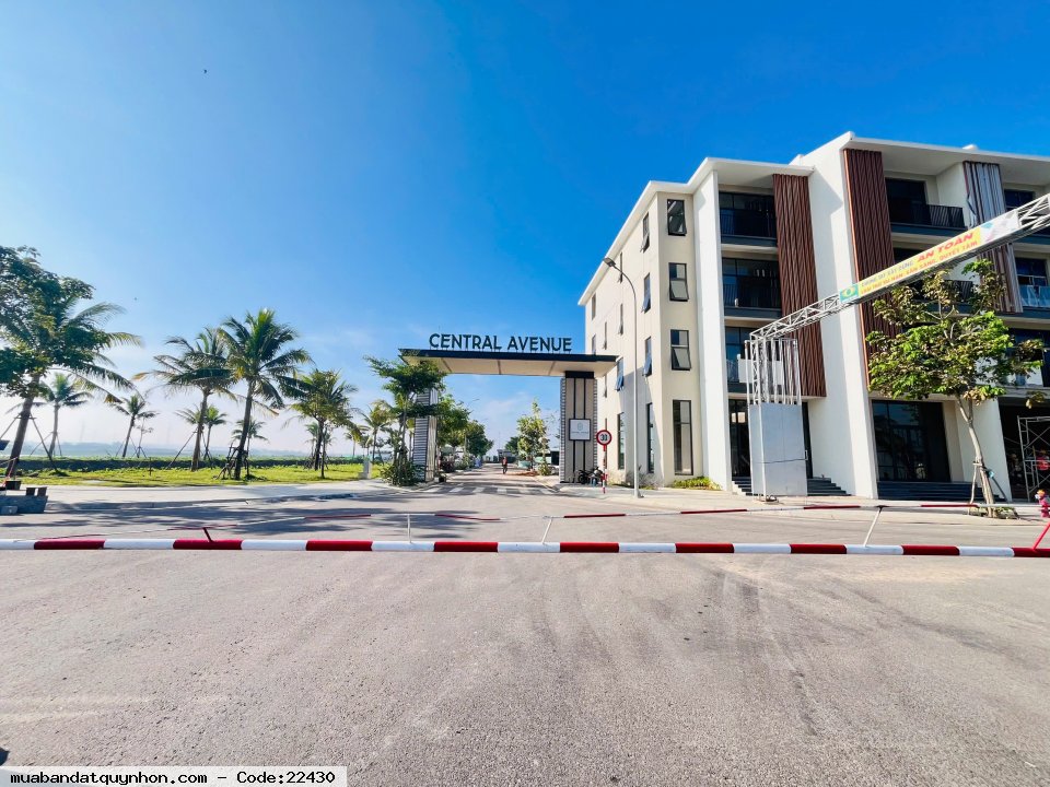 Central Avenue Quy Nhơn mở bán, vị trí gần biển Cát Tiến, Quy Nhơn. Sổ hồng riêng sở hữu lâu dài