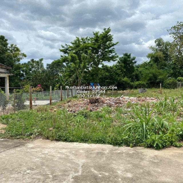Chính chủ cần bán đất