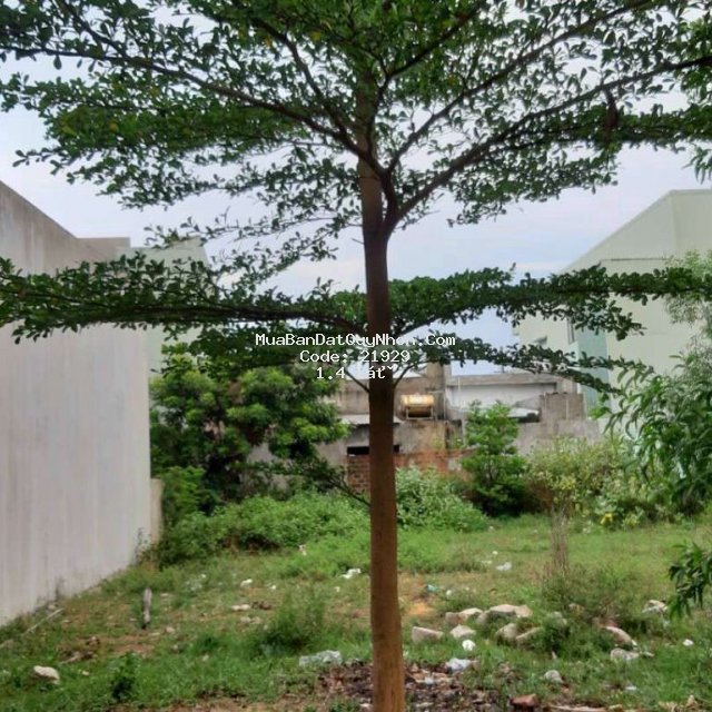 đất nhơn hội  150m2 - 6 x 25 - đường 12m .khu tđc nhơn hội