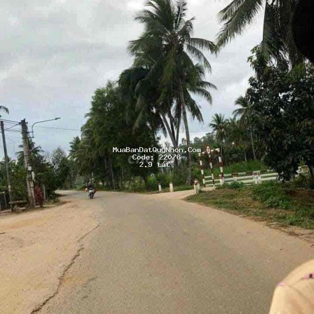 đất sổ hồng cần bán gấp