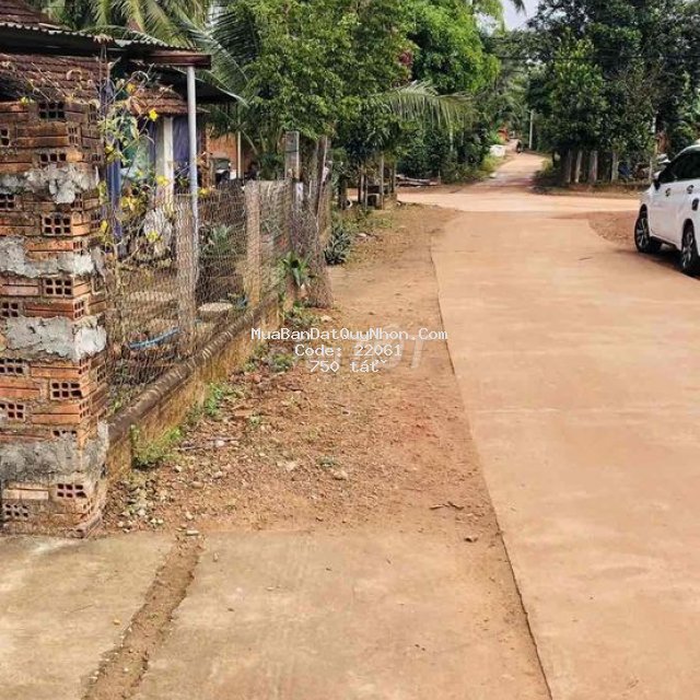 đất thổ cư cần bán gấp