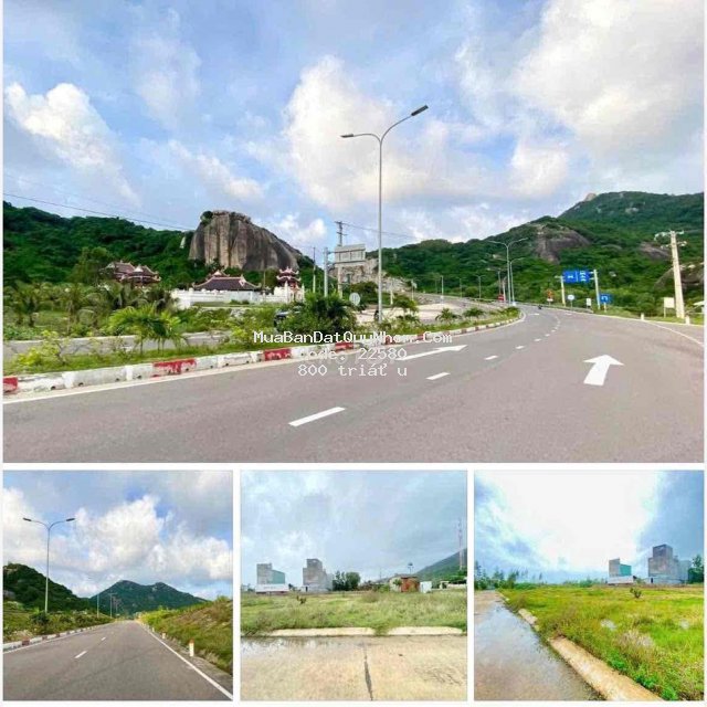 Mặt giáp biển, lưng tựa núi -chỉ có tại cát hải, phù cát - bình định