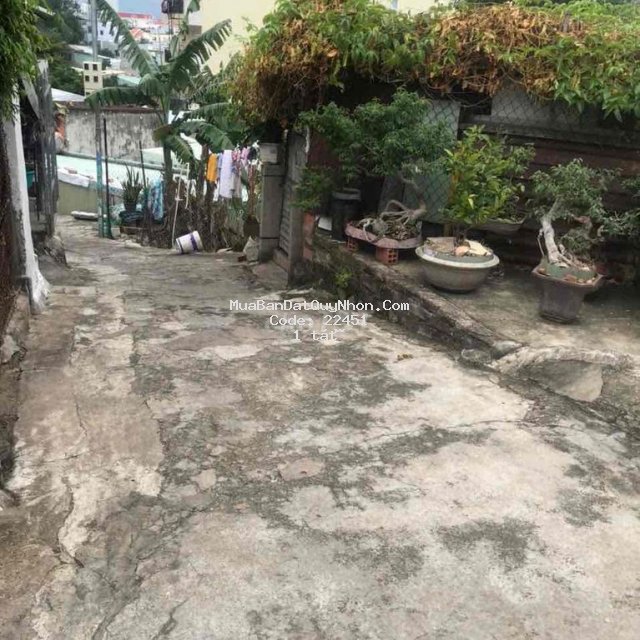 Nhà 55m2 hoàng văn thụ