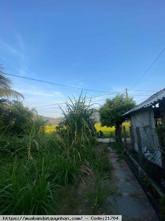 Nhà cần bán Nhà cần bán