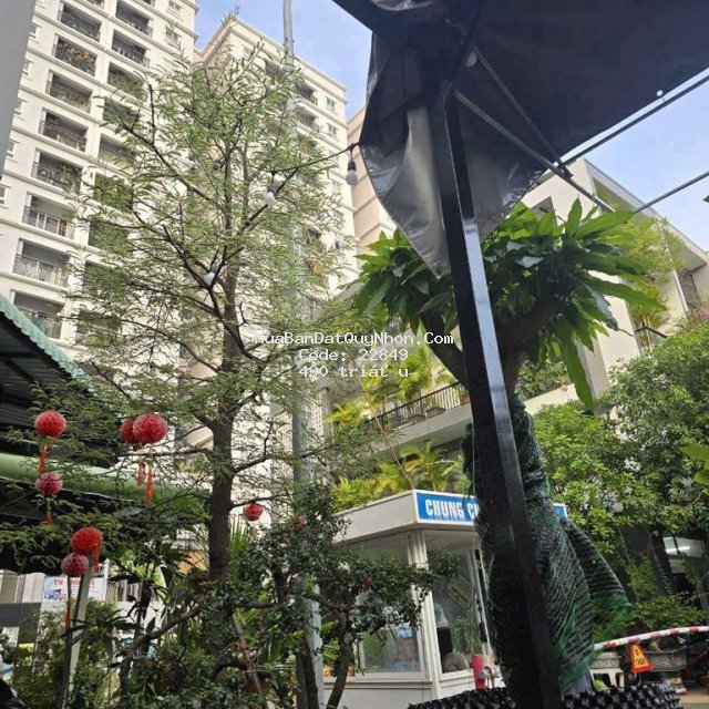 Bán chung cư xuân thủy ( noxh hoàng văn thụ), đường xuân thủy, quy nhơ Bán chung cư xuân thủy ( noxh hoàng văn thụ), đường xuân thủy, quy nhơ