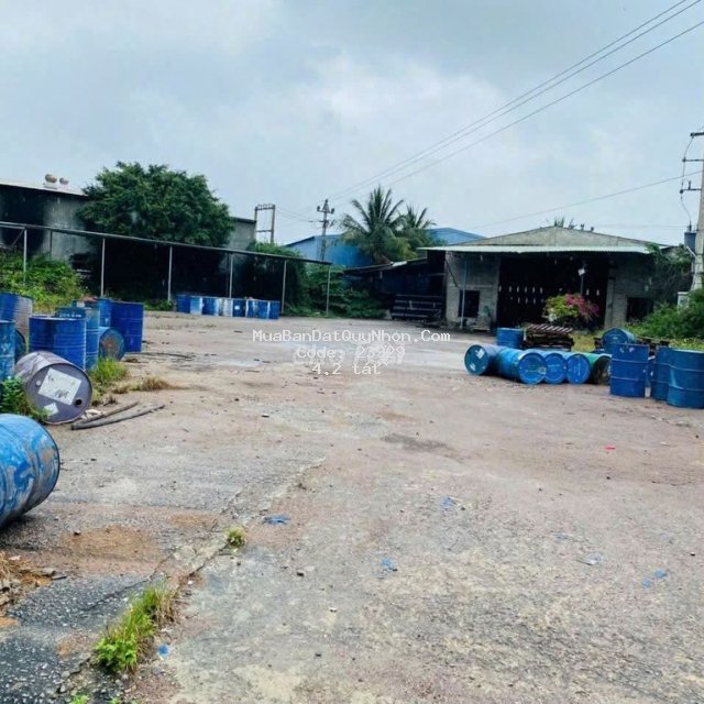 Bán kho, nhà xưởng tại phước lộc, 1900 m2, mặt tiền quốc lộ 1a Bán kho, nhà xưởng tại phước lộc, 1900 m2, mặt tiền quốc lộ 1a