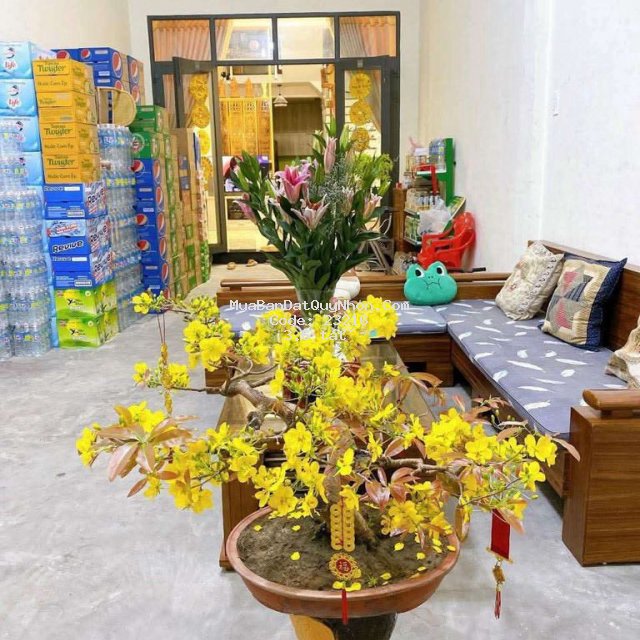Bán nhà hà thanh đống đa quy nhơn , 89,4m2 , 3 mê Bán nhà hà thanh đống đa quy nhơn , 89,4m2 , 3 mê