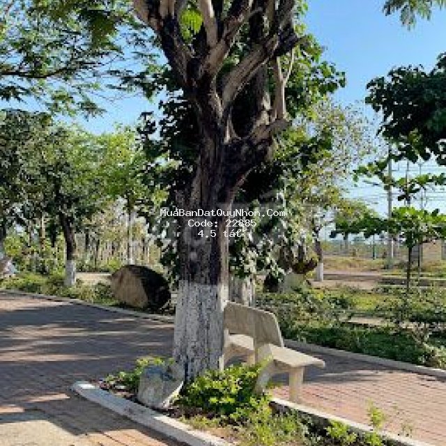 Bán nhà mặt tiền tố hữu- đống đa quy nhơn Bán nhà mặt tiền tố hữu- đống đa quy nhơn