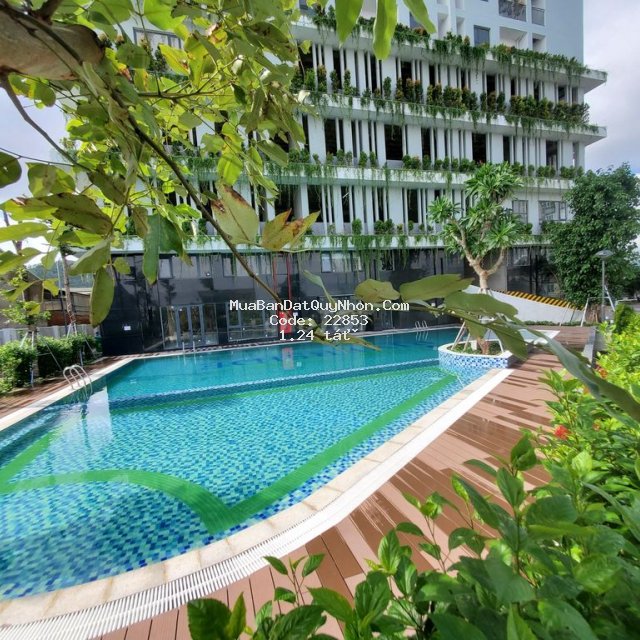 Căn hộ ecolife riverside bán nhanh giảm 20% đã có sổ hồng Căn hộ ecolife riverside bán nhanh giảm 20% đã có sổ hồng
