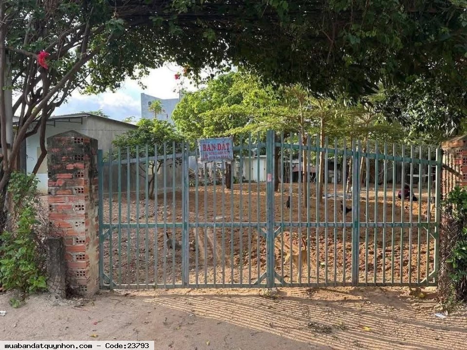 CHÍNH CHỦ CẦN BÁN ĐẤT MẶT TIỀN Ở Tỉnh lộ 639 Thị trấn Cát Tiến, Huyện Phù Cát, Tỉnh Bình Định =>nay thuộc tỉnh Gia Lai CHÍNH CHỦ CẦN BÁN ĐẤT MẶT TIỀN Ở Tỉnh lộ 639 Thị trấn Cát Tiến, Huyện Phù Cát, Tỉnh Bình Định =>nay thuộc tỉnh Gia Lai