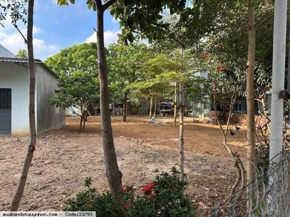 CHÍNH CHỦ CẦN BÁN ĐẤT MẶT TIỀN Ở Tỉnh lộ 639 Thị trấn Cát Tiến, Huyện Phù Cát, Tỉnh Bình Định =>nay thuộc tỉnh Gia Lai CHÍNH CHỦ CẦN BÁN ĐẤT MẶT TIỀN Ở Tỉnh lộ 639 Thị trấn Cát Tiến, Huyện Phù Cát, Tỉnh Bình Định =>nay thuộc tỉnh Gia Lai